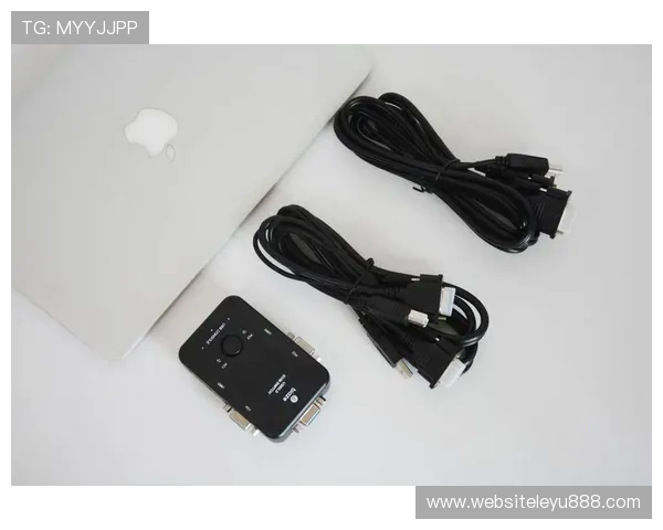 乐鱼线上手机版支持多平台登录，轻松切换设备享受无缝娱乐体验